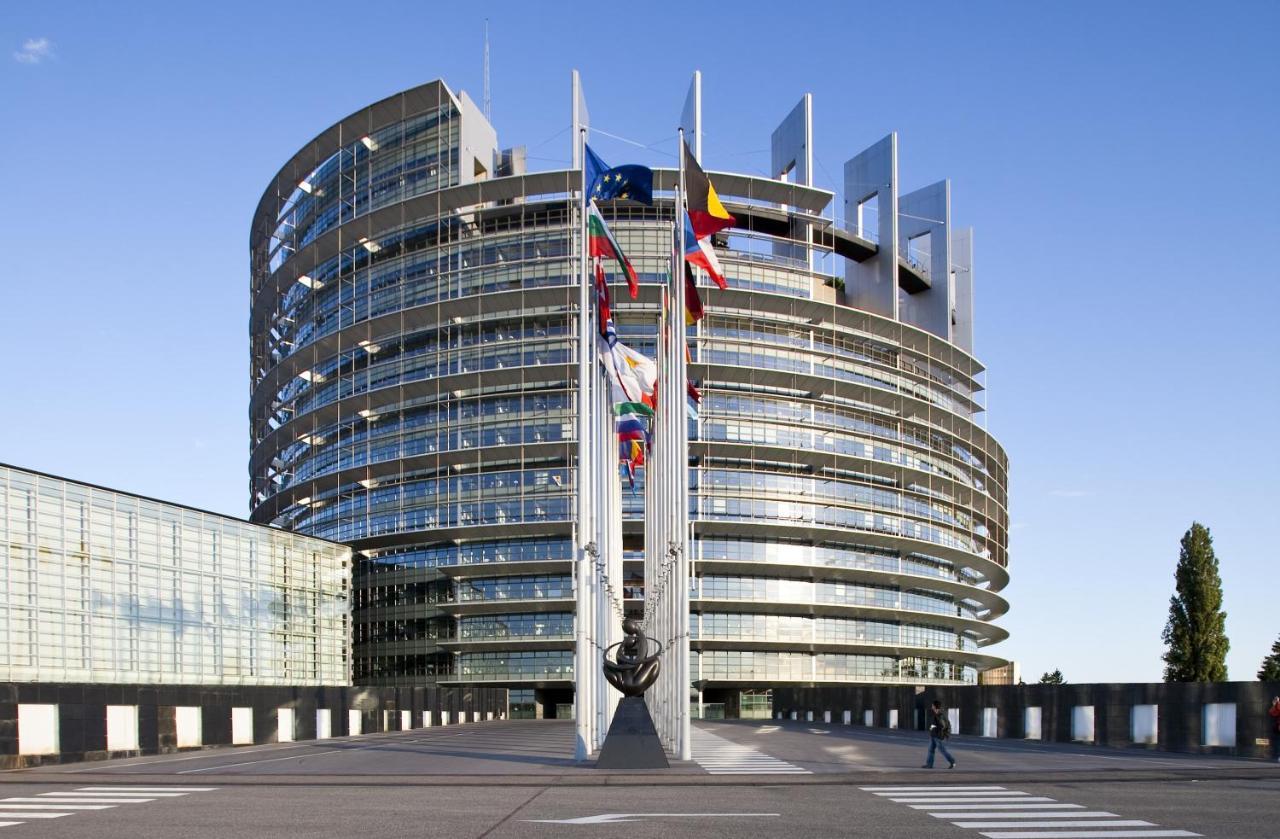 Green Cellar Studio Centre De Strasbourg - 5 Min Conseil De L'Europe Exterior photo
